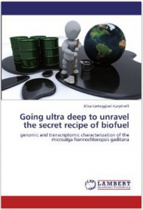 cover of the paperback edition of the PhD thesis